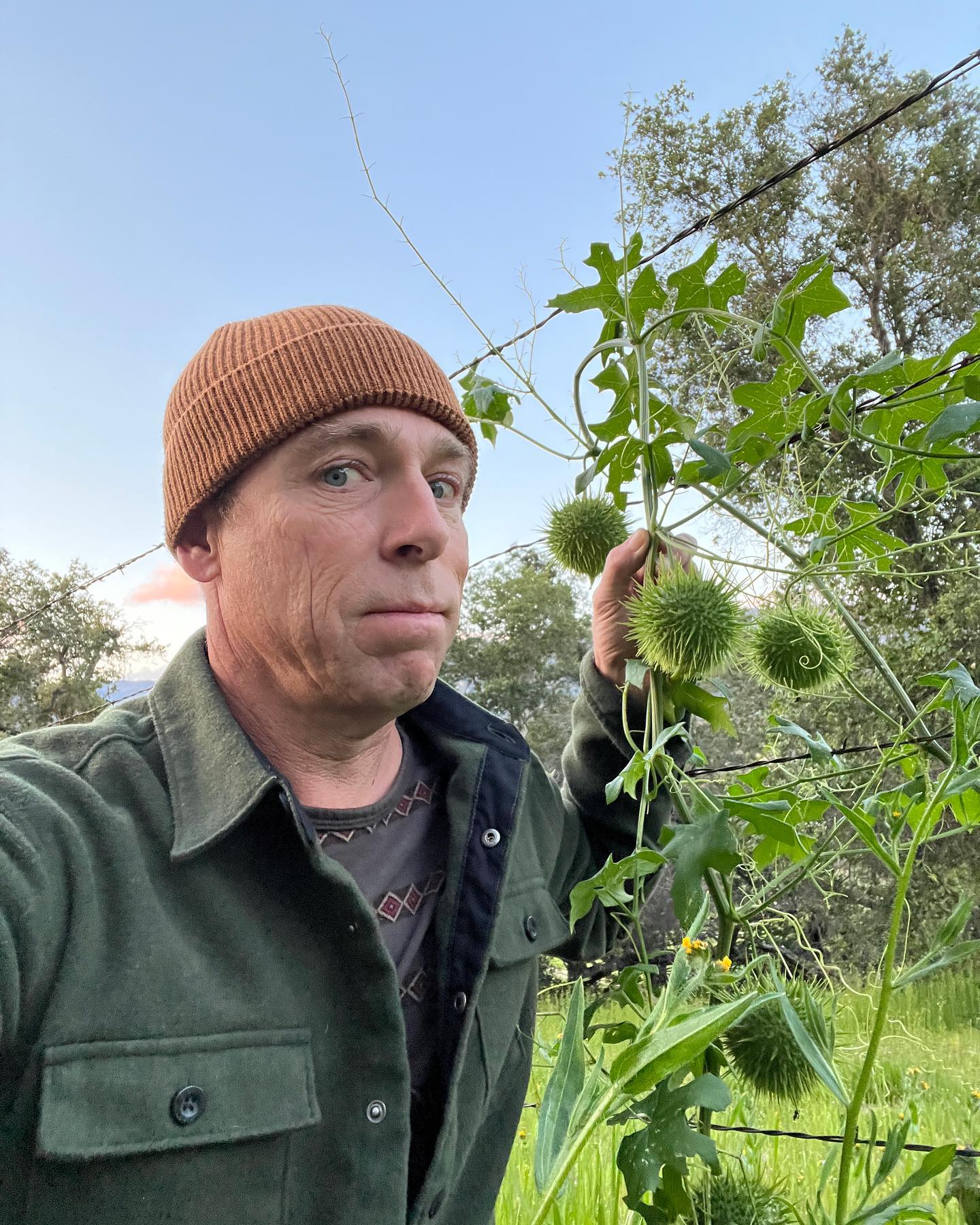 Dave England 
